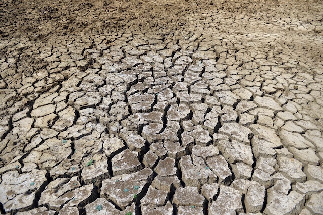 A parched tank bed in the southeastern Moneragala District, where farmers say the absence of rain since late 2013 has completely destroyed their agricultural lands. Credit: Amantha Perera/IPS