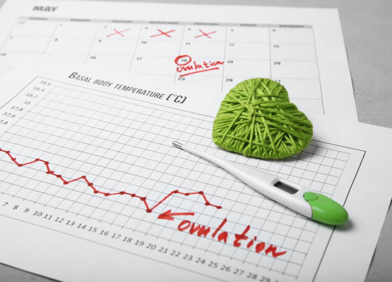 Basal body temperature graph showing the ovulation phase of a menstrual cycle