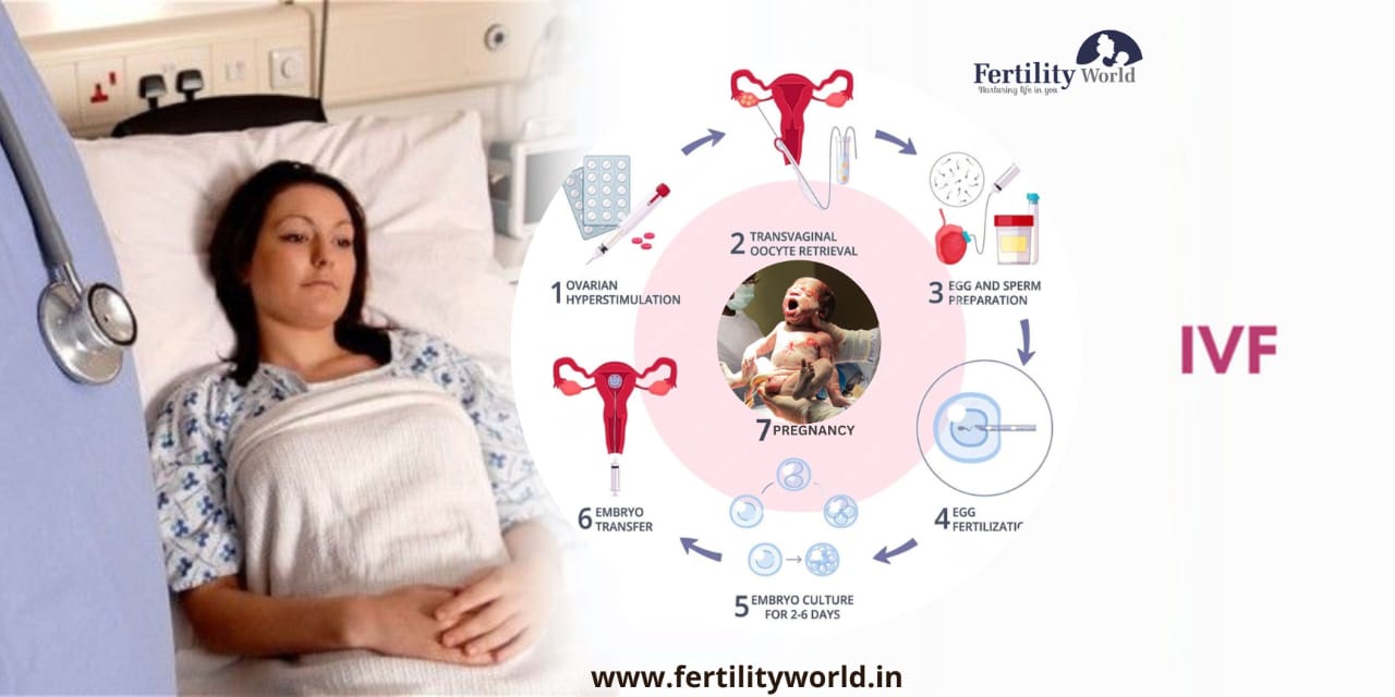 What is the process of IVF in Jodhpur?