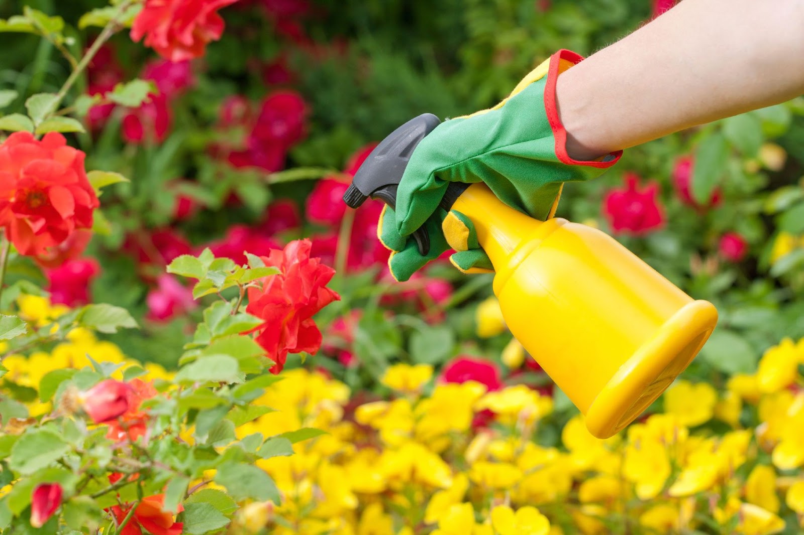 Dangers of Using Chemical Gardening PRoducts