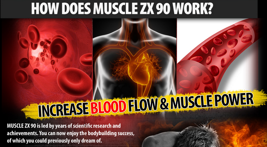 muscle zx90 blood power