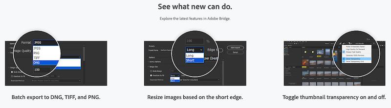 Últimas funciones de Adobe Bridge 