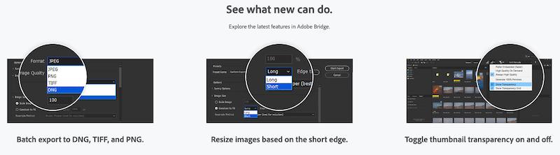 Dernières fonctionnalités d'Adobe Bridge 