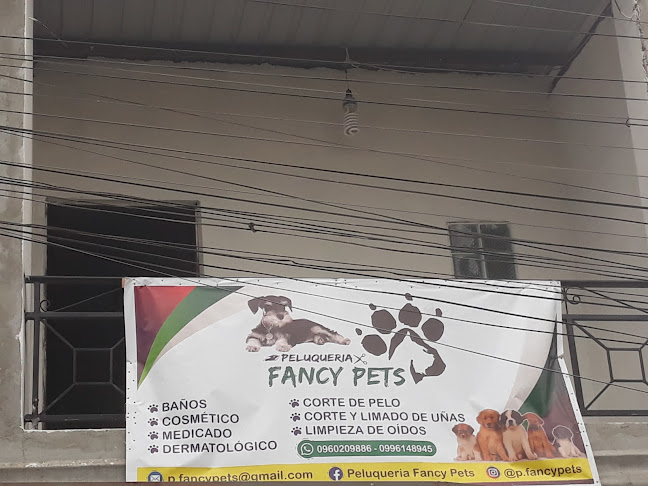 Opiniones de Fancy Pets en Guayaquil - Veterinario