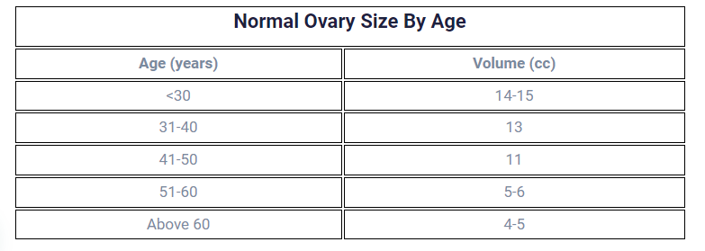 Normal ovary size by age