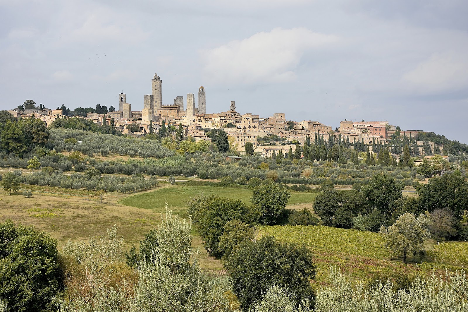 medieval brick towers in sam gimignano skyline city view from a distance and green tuscan fields landscape in foreground