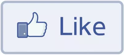 Facebook 'Like' Button gives social validation to users