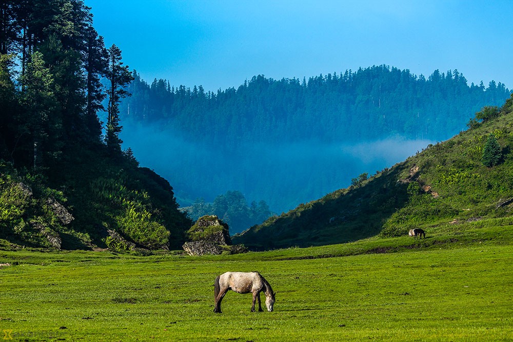  Khaptad National Park