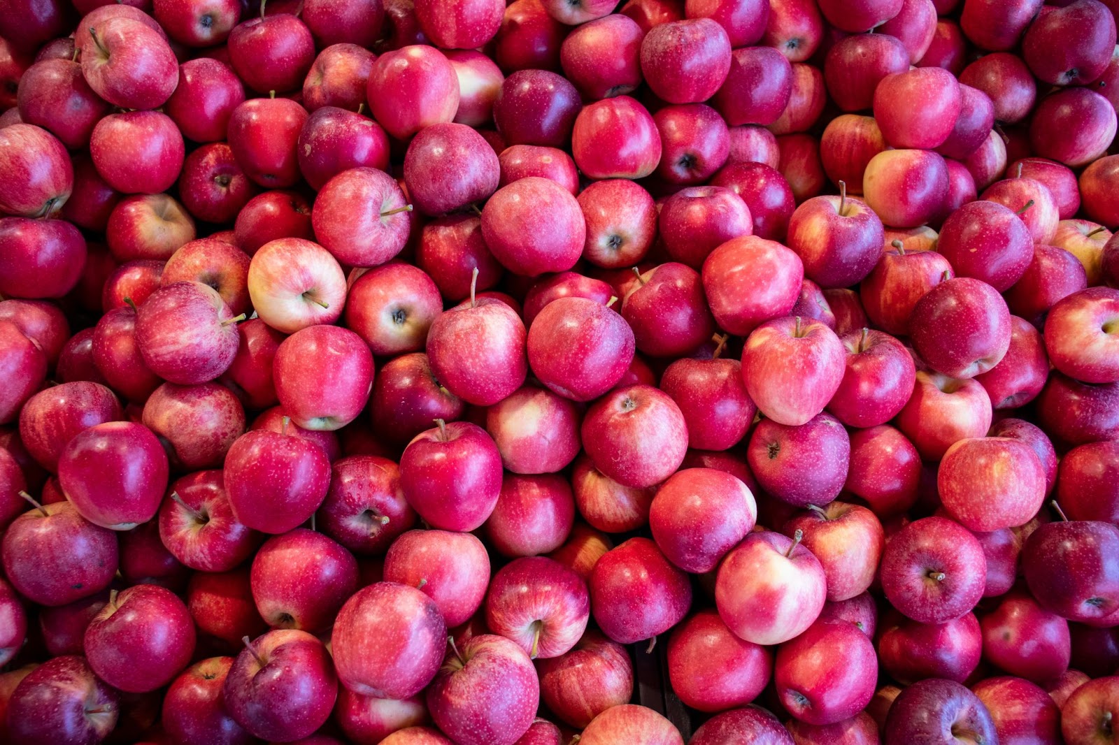 Ambrosia Apples vs Fuji: Which Variety Reigns Supreme?