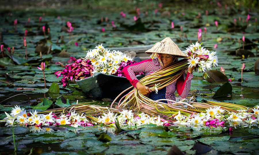 phong cách sống của người dân miền Tây