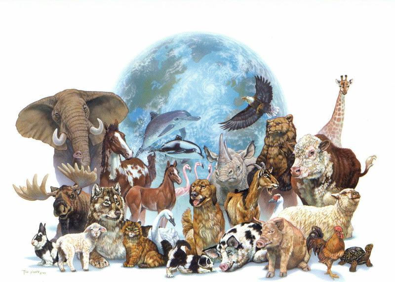 https://cienciayumana.wikispaces.com/file/view/animal_mural_jpg.jpg/209763758/800x572/animal_mural_jpg.jpg