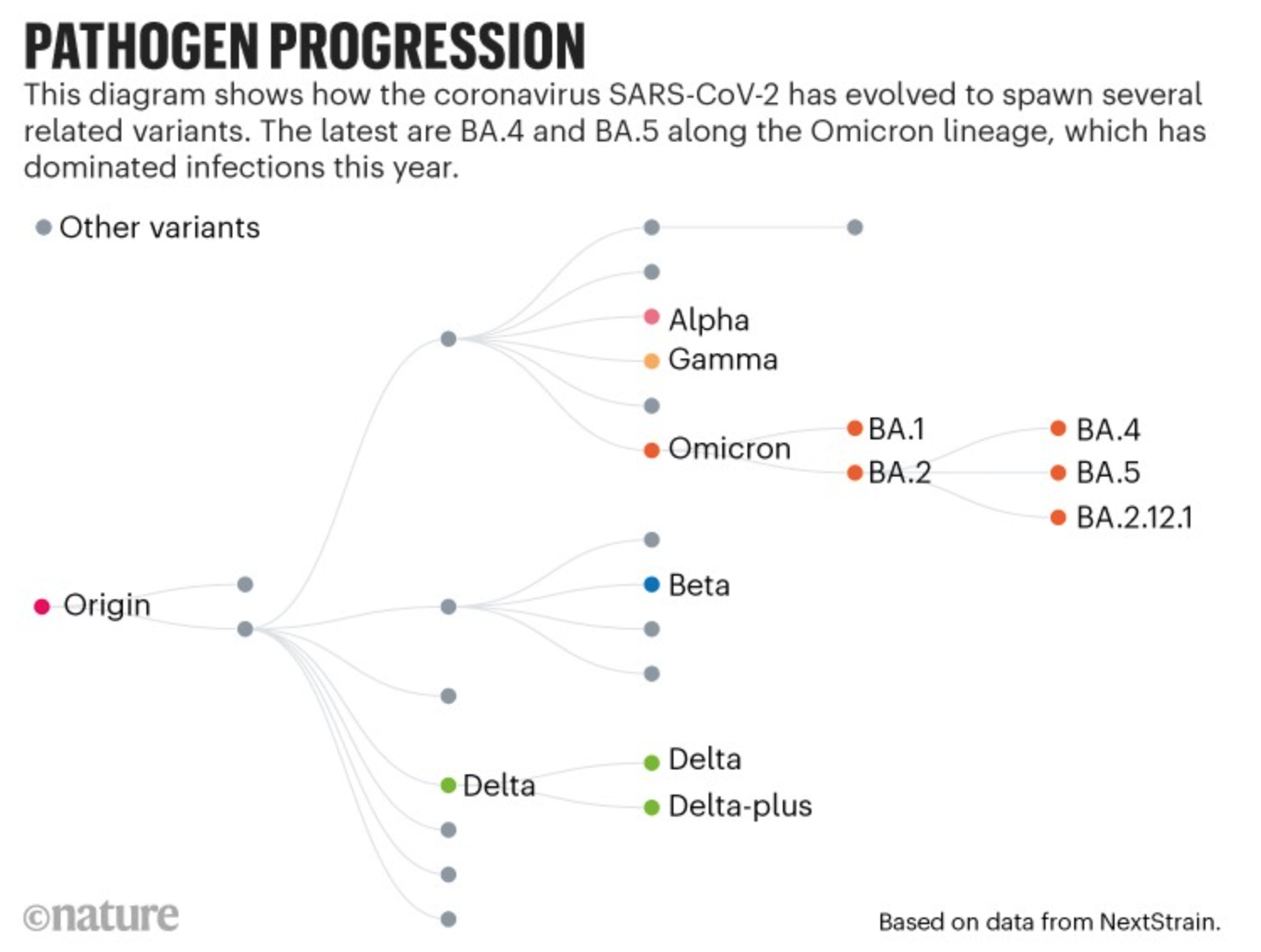 At the top, bold text says "Pathogen Progression." Below the title, text says, "A diagram showing how the coronavirus SARS-CoV-2 has evolved to spawn several related variants. The latest are BA.4 and BA.5 along the Omicron lineage, which has dominated infections this year." The diagram starts with the origin on the left and branches off toward the right into several other variants, including Delta, Delta-plus, Beta, Alpha, Gamma, Omicron, BA.1, BA.2, BA.4, BA.5, and BA.2.12.1. On the bottom left corner is the copyright logo of the Nature science journal. On the bottom right, text says "based on data from NextStrain."