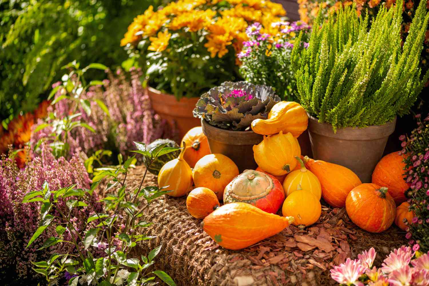 Elevate Your Lifestyle Home Garden Tips