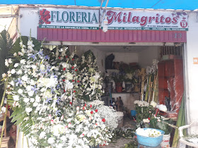 Floreria Milagritos