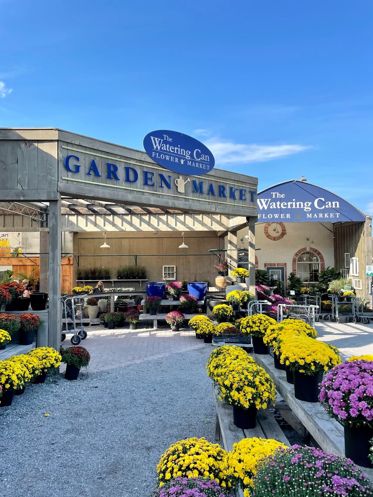 watering can flower market