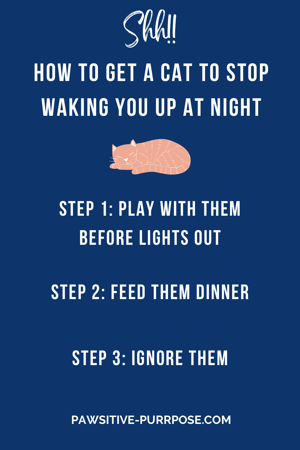 List of ways to get a cat to stop waking you up at night