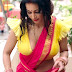 Flora Saini Hot latest photos