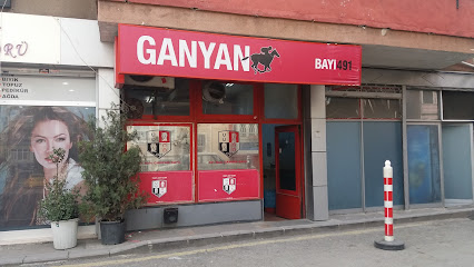 Ganyan Bayi491