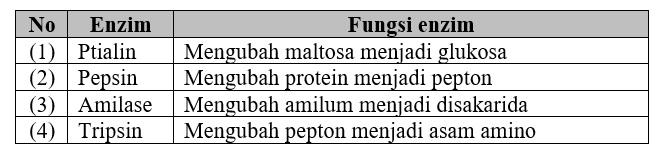 Pada tabel di atas, pasangan yang tepat antara nama enzim dengan fungsinya terdapat pada nomor ....