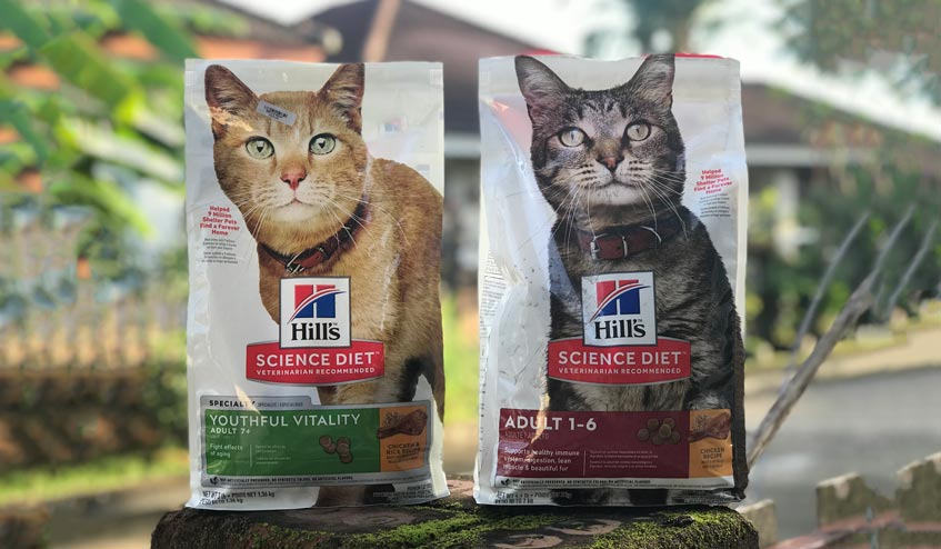 อันดับ 5 Hill's อาหารเม็ดแมว สูตร Science Diet