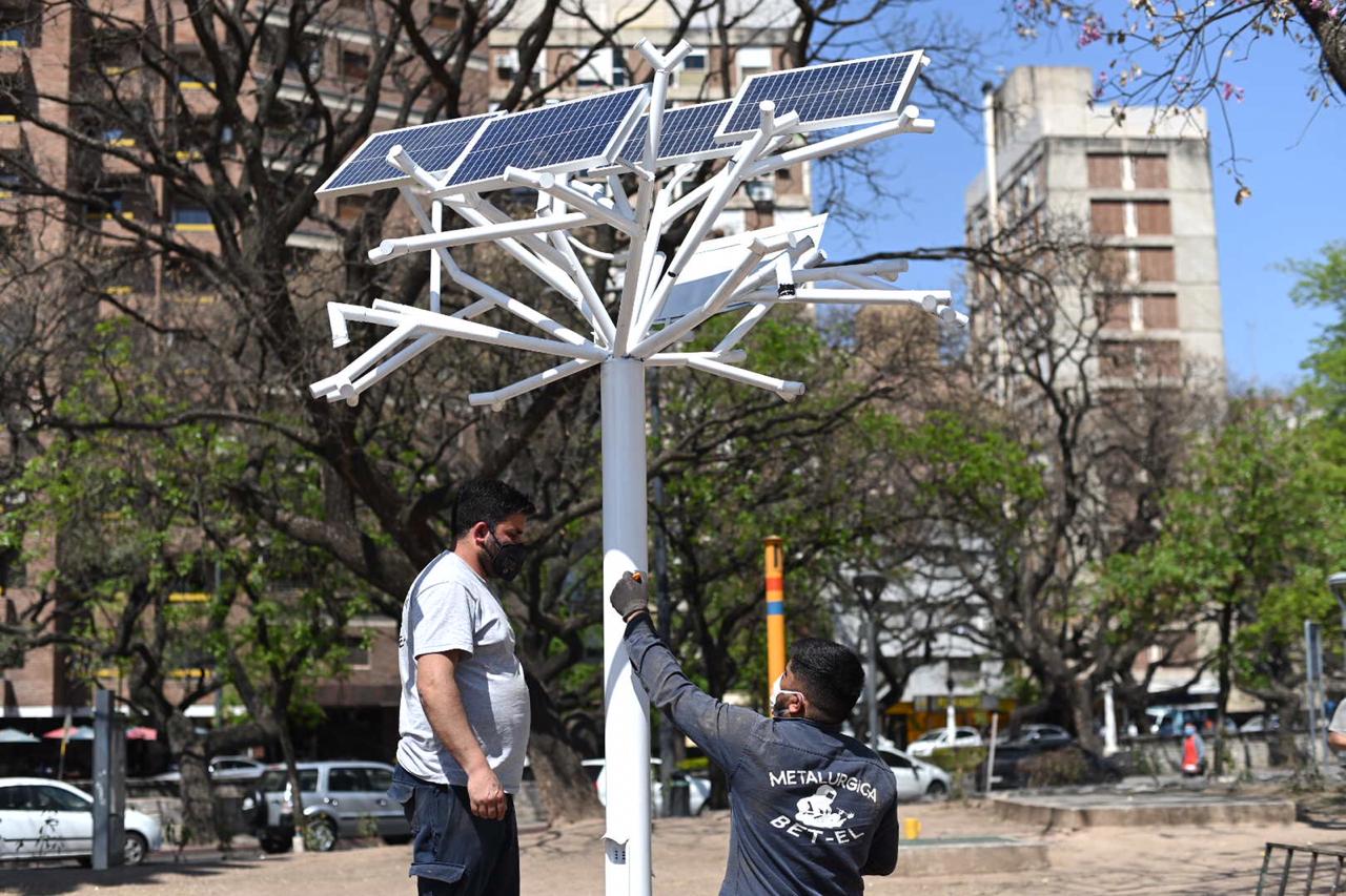 Instalan el primer “Árbol Solar” de la ciudad en la Plaza de la Intendencia  > Municipalidad de Córdoba