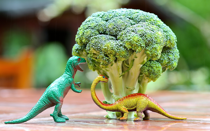 dinosaurs in a broccoli forest picture prompt