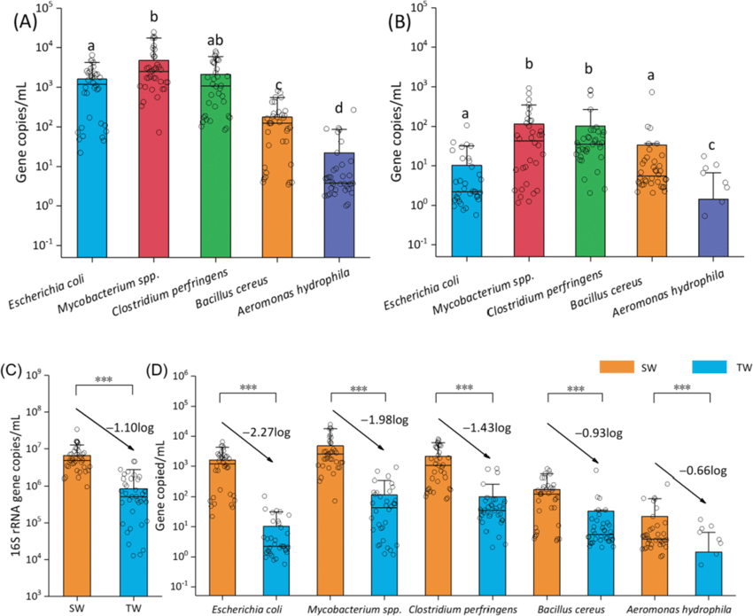 Comparison chart of five opportunistic pathogens in source water and tap water.