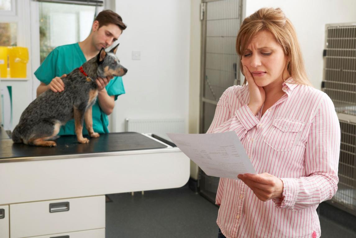 Pet Insurance for Dogs