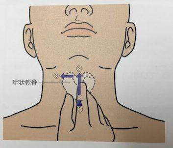 ソース画像を表示