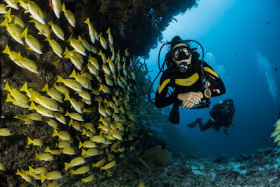 two people scuba diving underwater