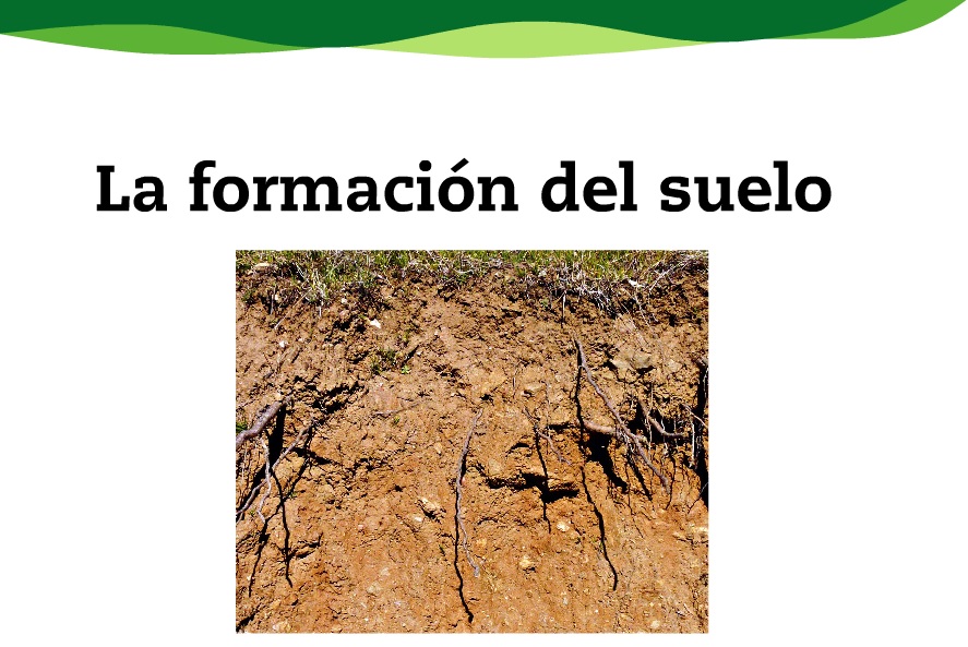 Sin tdddítulo.jpg