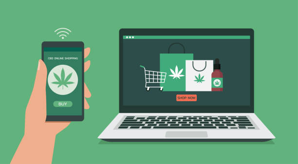 human hand using smartphone connect with laptop order cannabis or cbd product online human hand using smartphone connect with laptop order cannabis or cbd product online via mobile application, vector illustration  online cannabis shopping stock illustrations