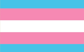 Hoy la bandera trans cumple 20 años! Conoce toda la historia detrás - El  Closet LGBT