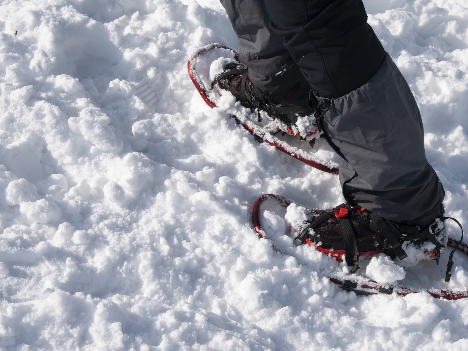 8. 雪の上でだけ楽しめる遊び「旭川観光物産情報センター 歩くスキーなど」