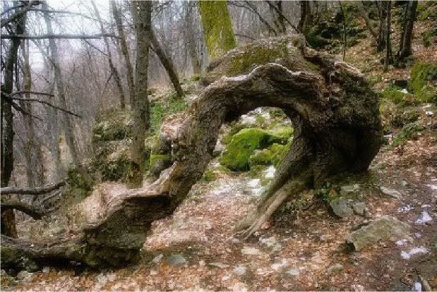 https://lh3.googleusercontent.com/i8dYikk4ePYe2VXvgRlvp5-B-bp6YJ74dhzrYwHDCeDeGtDIGbPPE6Z81qdzWTSBkovacqSv5_0jjXBbRC-ARpbBx3napd4gu9B_LvYRU7vaY2j6vgIhkRNrCxLsIGygsjsgiacoYAe_99PnsB6AYw