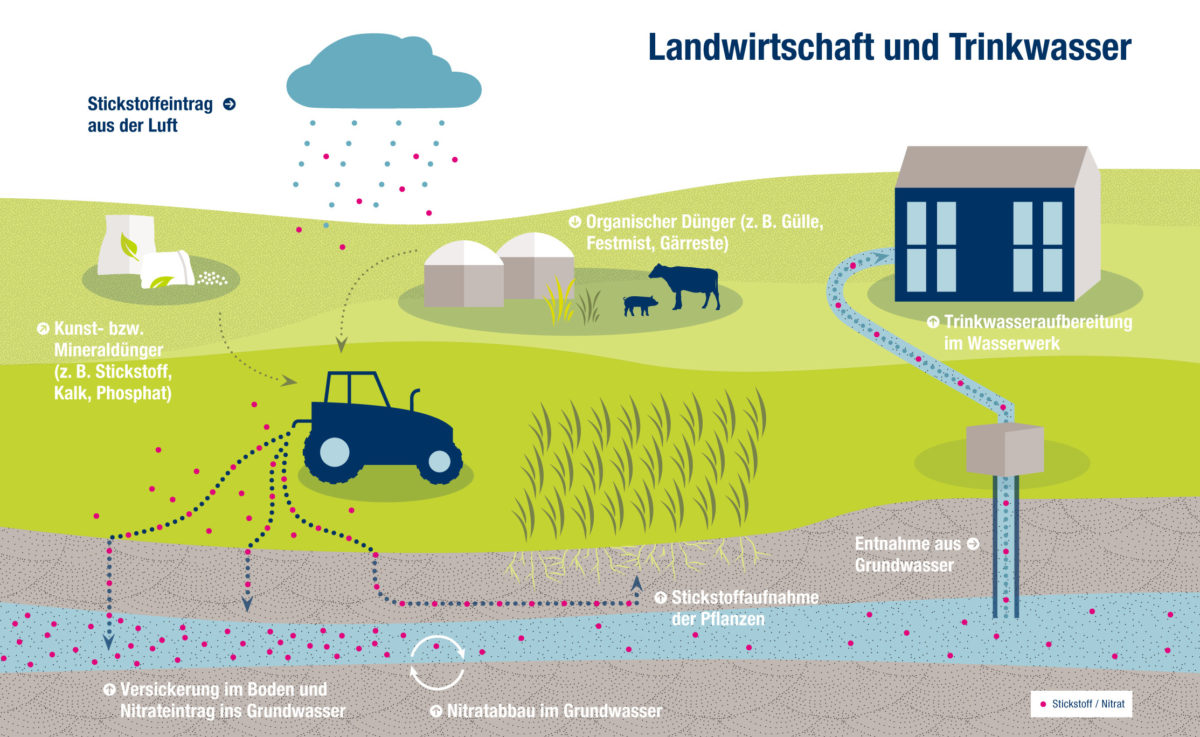 In welcher Tiefe kommt das Grundwasser?