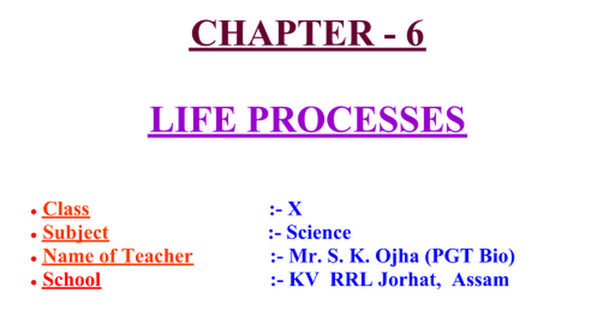 Life processes ppt google slides