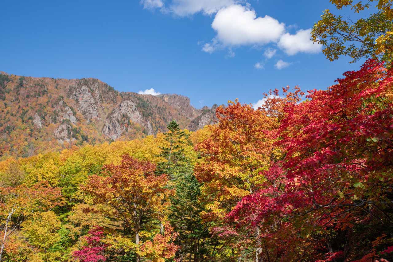 秋：9月〜11月「上下にグラデーションがかかった紅葉を楽しむ」