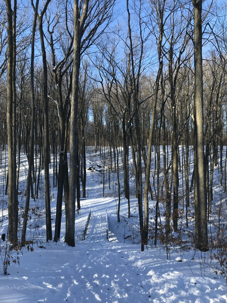 winter hiking southern ontario