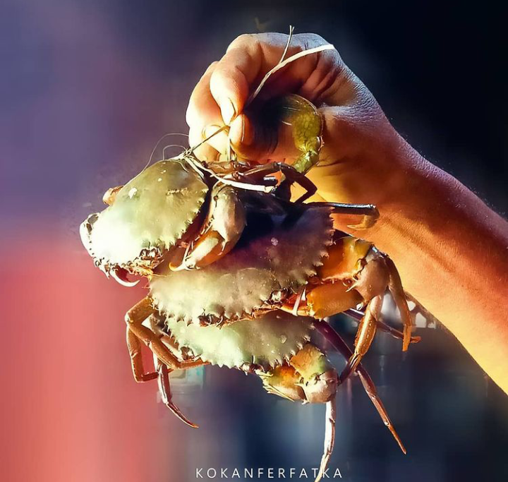 Image of crab catching, # Must-to-do things in Goa
