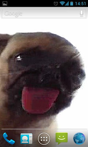 Download Dog Licker Live Wallpaper FREE apk