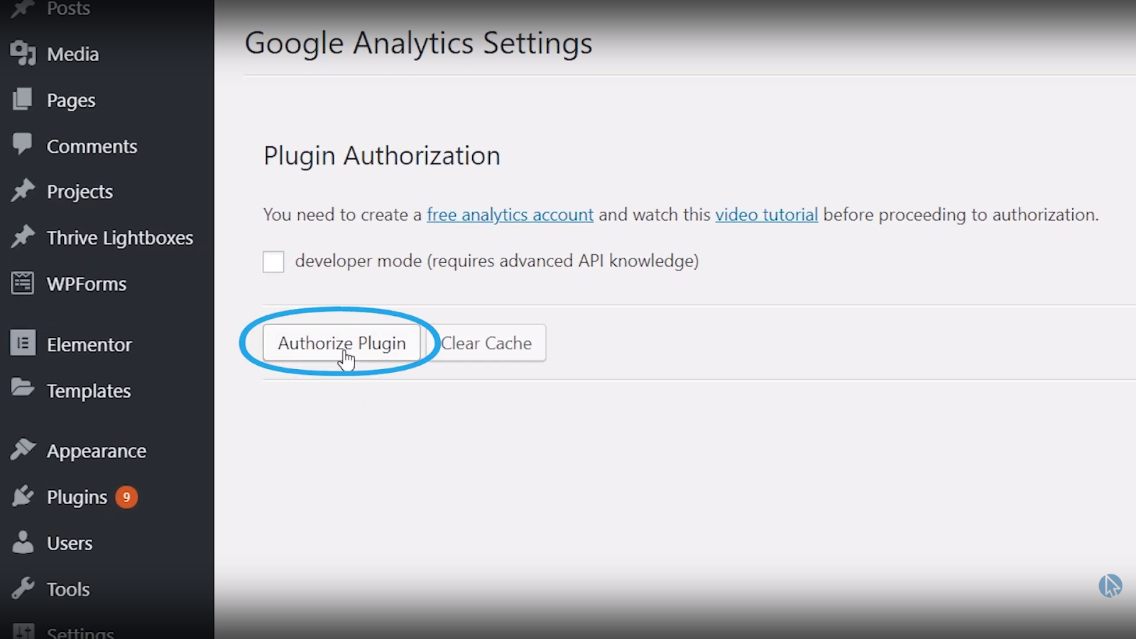 authorize google analytics wordpress plugin