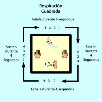 La Respiración Cuadrada: Transforma tu Vida en 1 minuto ...