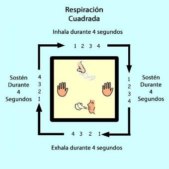 La Respiración Cuadrada: Transforma tu Vida en 1 minuto ...