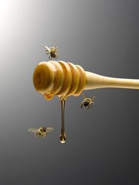 Honey dripping from spatula with honeybees around