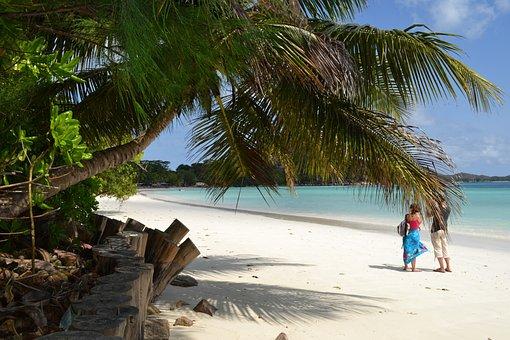 Praslin, Island, Seychelles, Tropical