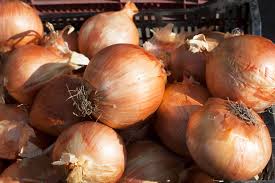 Vidalia onions 