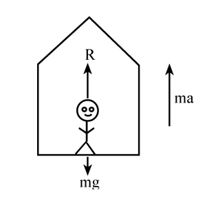 Dynamics | Laws Of Motion Class 11 | Physics | Notes