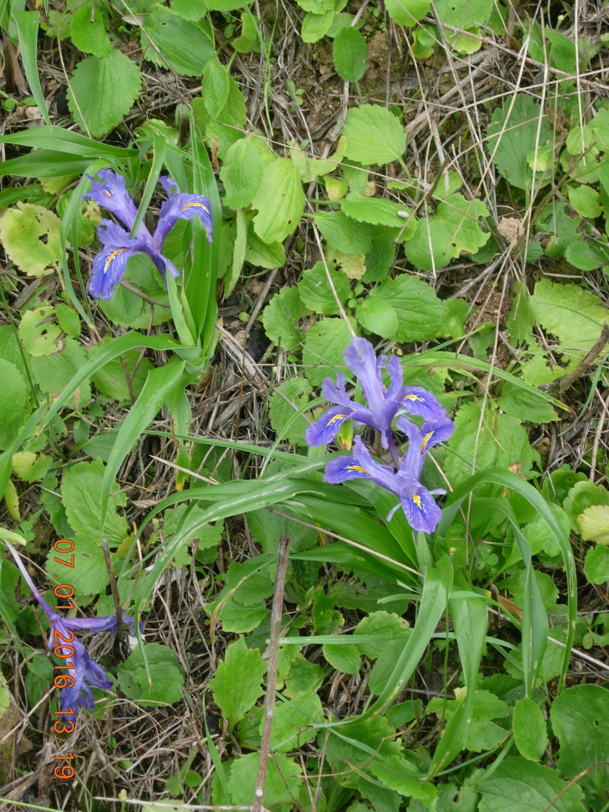DSCN4330.JPG