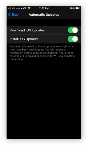 The Automatic Updates settings in the Settings app for iOS